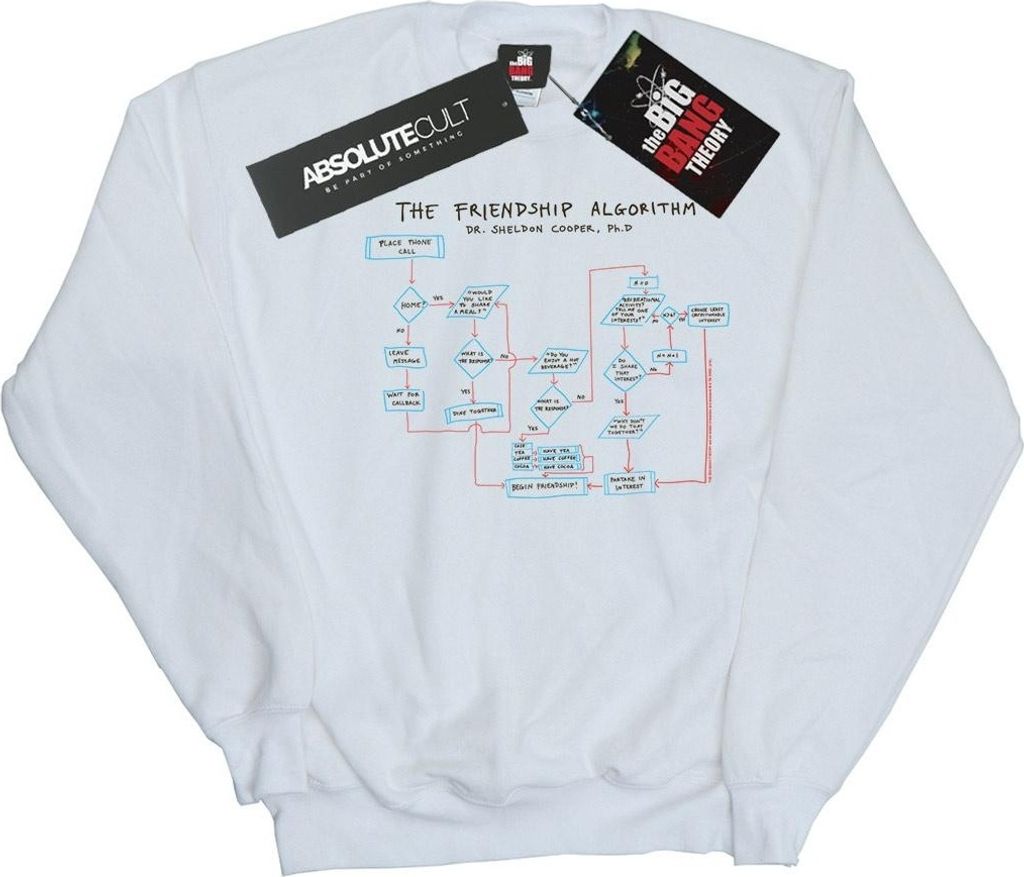 The Big Bang Theory - "Friendship Algorithm" Sweatshirt für Herren BI10580 (5XL) (Weiß)
