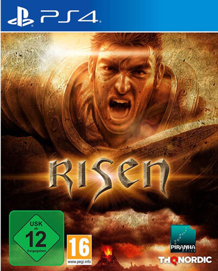 Risen PS-4 Produktbild 