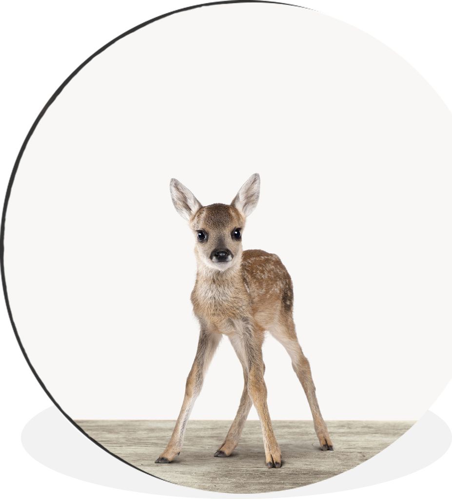 MuchoWow Aluminium Wandkreis Tiere - Hirsche - Baby Ø 60 cm Wanddeko Modern Wohnzimmer - Wand Kreis - Wandbild - Schlafzimmer - Aluminium Bild -...