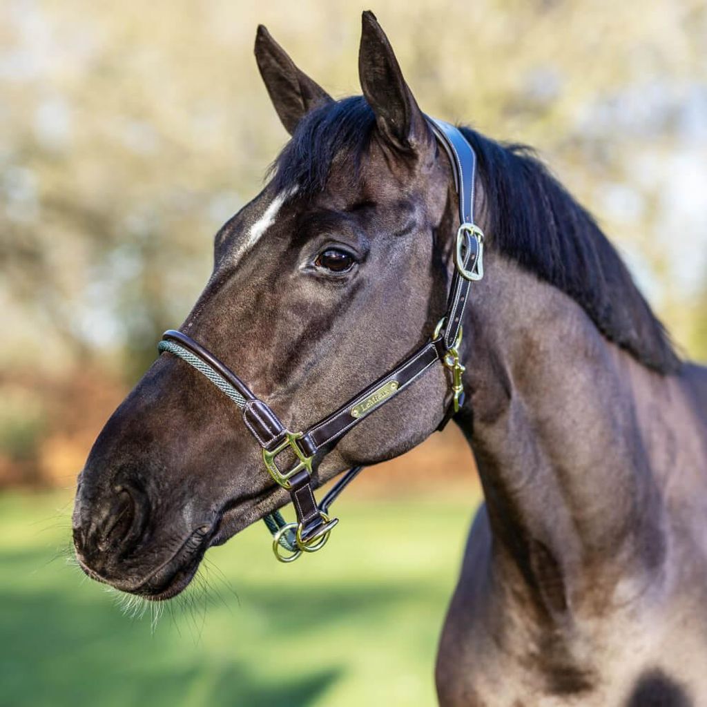LeMieux Rope Control Headcollar, Farbe:Brown, Größe:Full