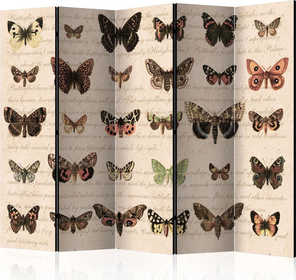 5-teiliger Einseitiger Vlies Paravent - Retro Style: Butterflies II 225x172 cm Tiere g-C-0032-z-c