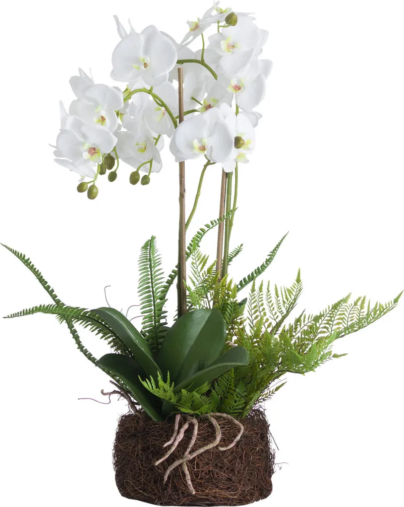 Orchidée artificielle blanche Hill Interiors HI3354 de taille unique