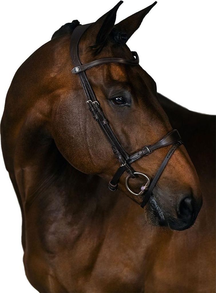 Ps Of Sweden Mary Lou By Henrik Von Eckermann Trense Braun Produktbild 