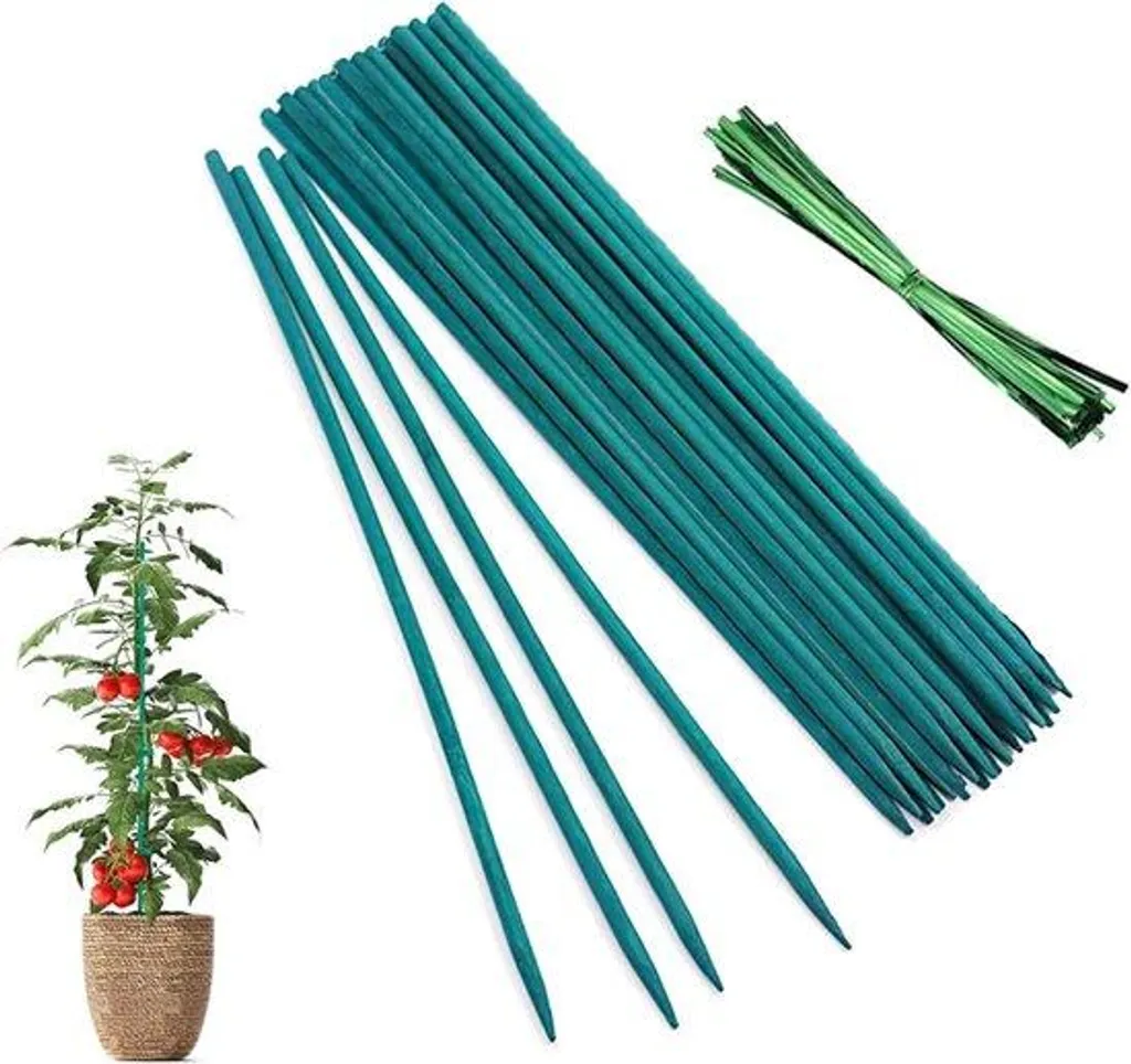 Tuteurs bambou contre l'affaissement des plantes - 50 unités de 30 cm