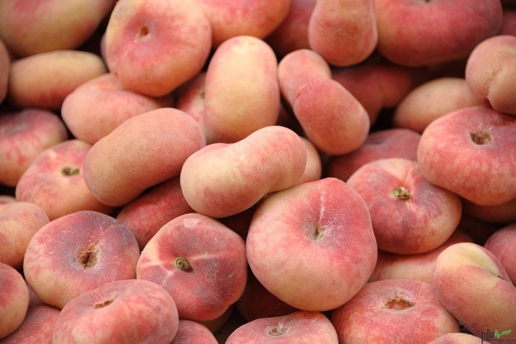 Tellerpfirsich Plattpfirsich Pfirsichbaum Obstbaum Teller Produktbild 