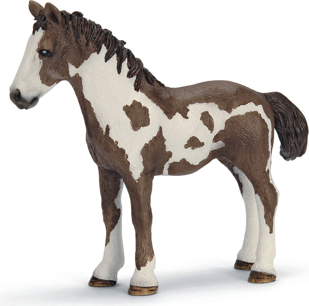 Schleich 13695 Roční pinto Obrázek produktu 