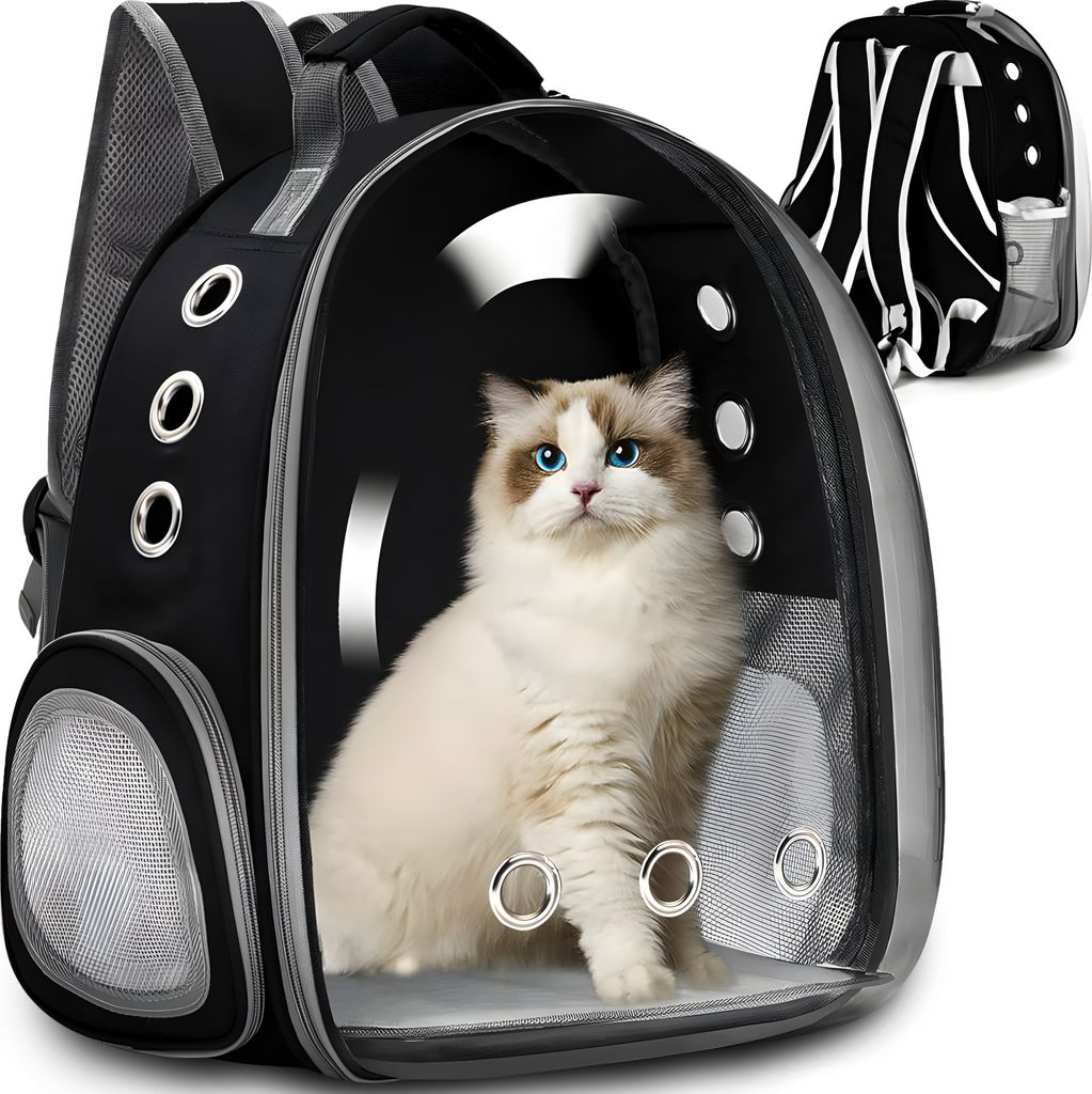 A cat is inside a transparent pet carrier backpack.