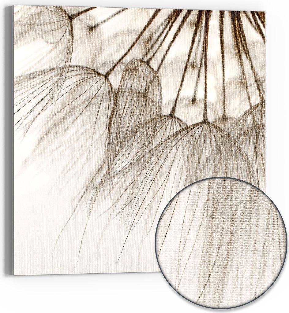 DEQORI Hybrid Leinwand Bild 50x50 cm 'Pusteblumenpoesie' Wandbild Glas flach modern