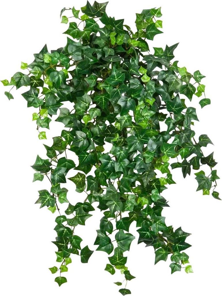 aplanta Künstlicher Efeu - Emilio | 50cm, für drinnen, Kunstpflanze, wie echt, Allergiker geeignet, pflanzliche Dekoration Praxis, Office & Wohnz...