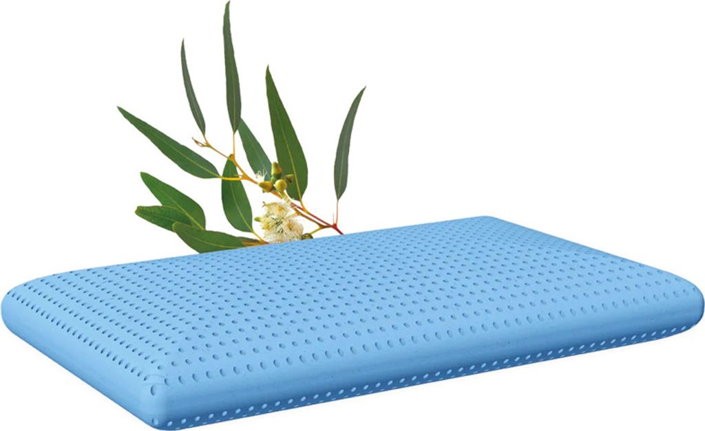 A blue pillow with a sprig of eucalyptus leaves resting on it, set against a white background.
