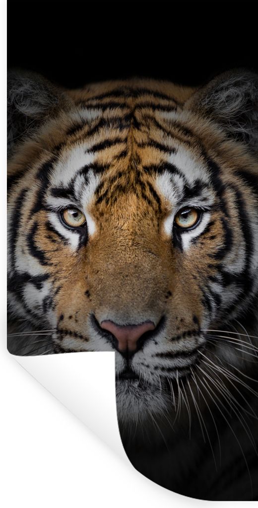 MuchoWow Wandtattoo Wandsticker Wandaufkleber Tiger - Wildtiere - Porträt - Schwarz - Tiere 40x80 cm Selbstklebend und Repositionierbar - Reposi...