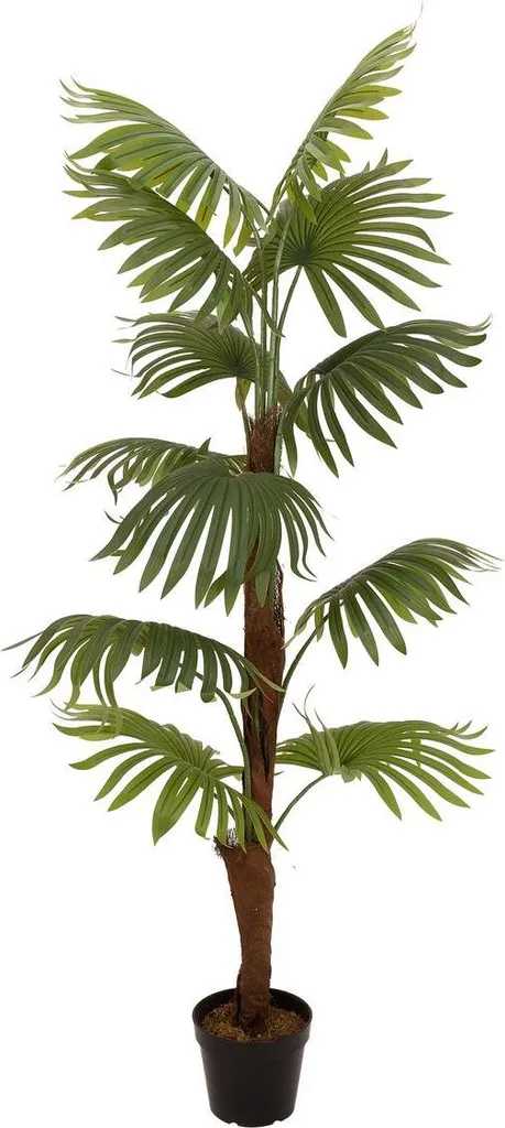 EUROPALMS Palmier-éventail Artificiel 155cm - Plante Déco Réf 82509303