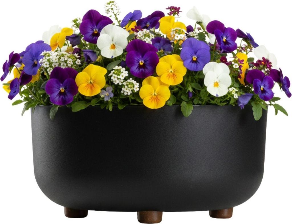 HowHomely | Donica – czarny – 30 x 14 cm (wysokość) – Zdjęcie produktu 