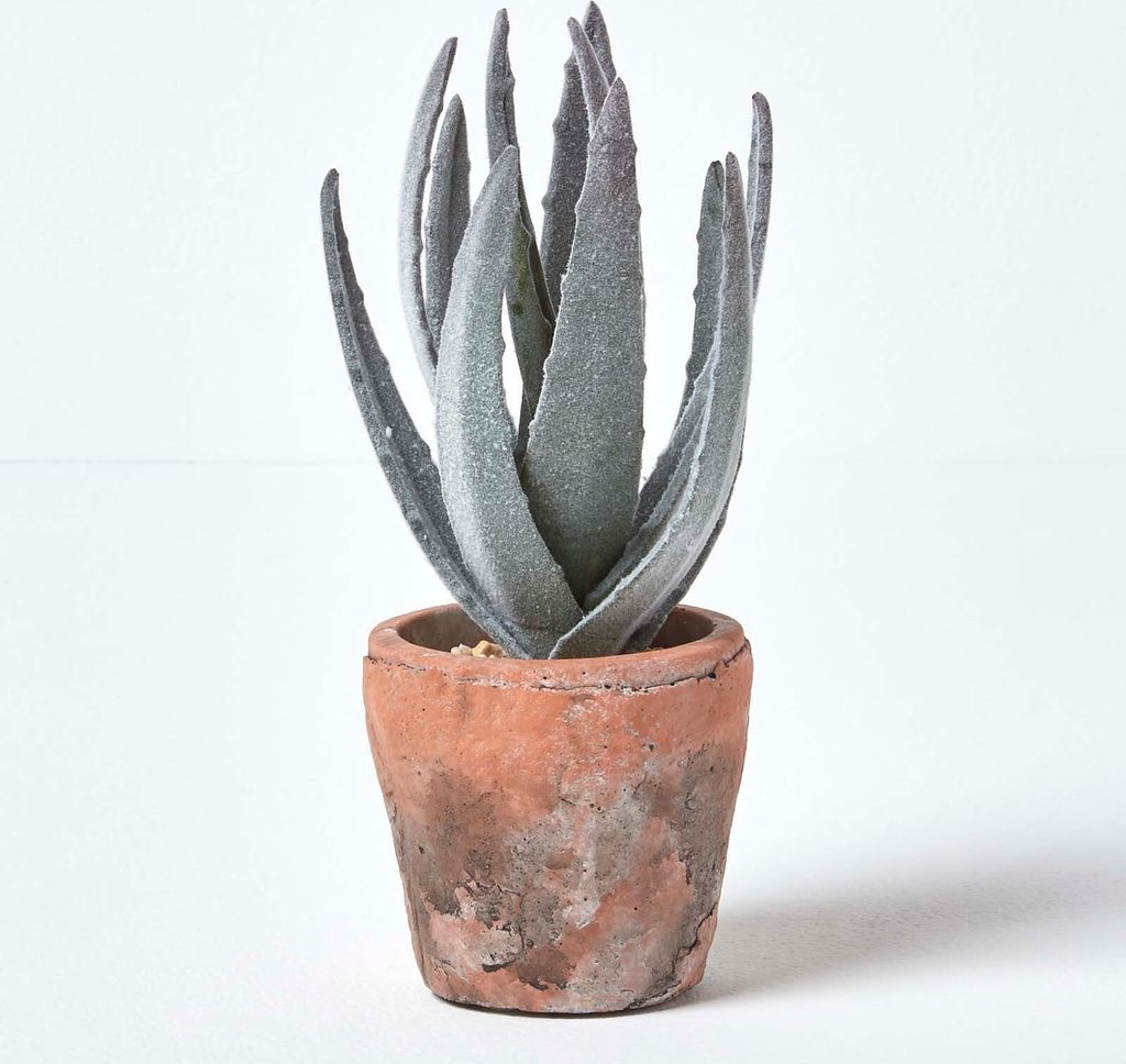 HOMESCAPES Kleine Künstliche Echte Aloe Vera in Topf aus Terrakotta, 21 cm hoch
