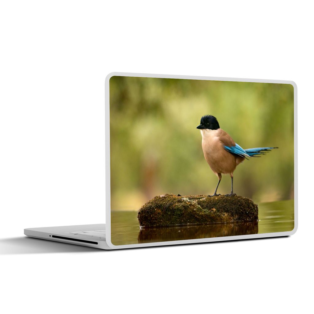 MuchoWow Laptop Aufkleber Sticker Cover Elster - Vogel - Moos 32.5x23.5 cm - Sticker für Laptop - Selbstklebend