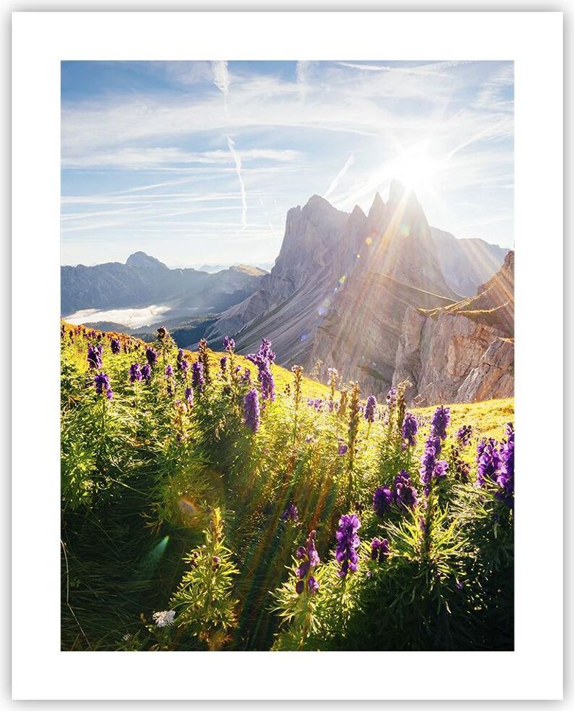 Poster - Poster ohne Rahmen - Berge Wiese Blumen - 40x50 cm Produktbild 