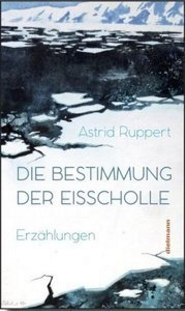 Die Bestimmung der Eisscholle