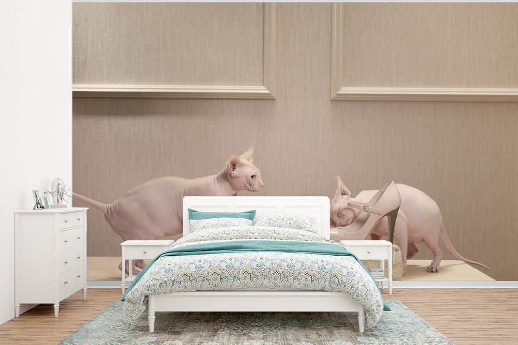 MuchoWow Fototapete für Wohnzimmer oder Schlafzimmer Wandtapete Vinyl Motivtapete Zwei Sphynx haarlose Katzen zusammen auf einem Holztisch - 350...