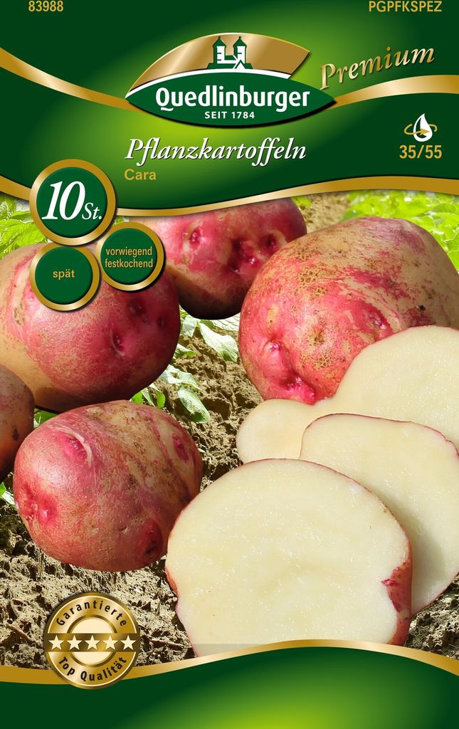Pflanzkartoffel Cara (10 Stück) (rotgelb, vorwiegend Produktbild 