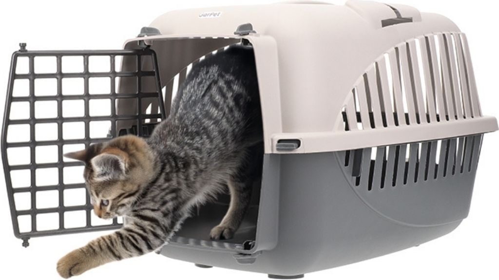 Hundebox Auto Rückbank Transportbox Katze Produktbild 1