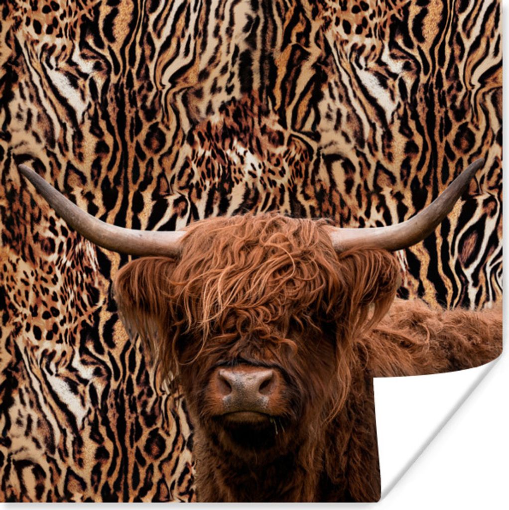 MuchoWow Poster Panther Druck - Tiere - Schottischer Highlander 50x50 cm - Wohnzimmerdekoration