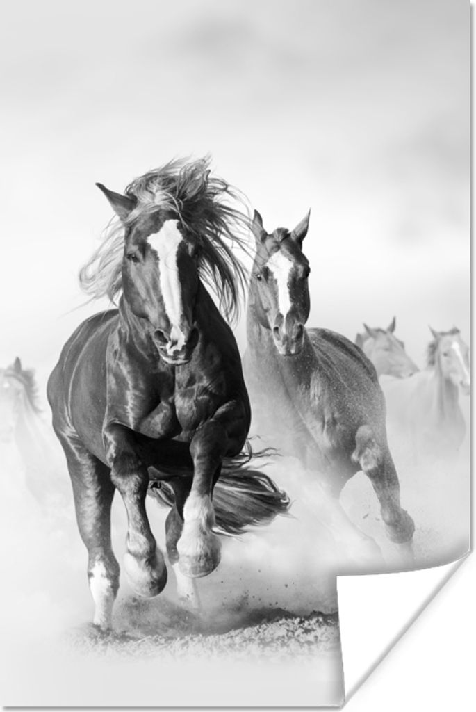 MuchoWow Poster Pferde - Tiere - Illustration 20x30 cm - Papierdruck