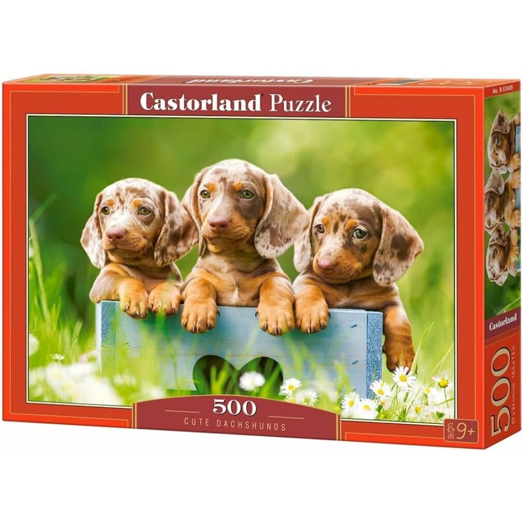 Puzzle 500 pezzi Cuccioli di Bassotto Castorland 53605 Immagine del prodotto 