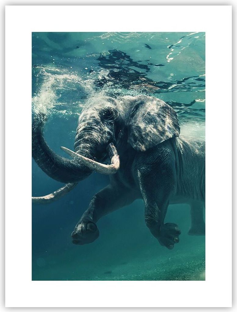 Poster - Poster ohne Rahmen - Elefant Tier Wasser - 30x40 cm - Wand Bild - Wanddeko - Wandbilder - Kunstposter - Wandposter - Bilder - Kunstdruck -...