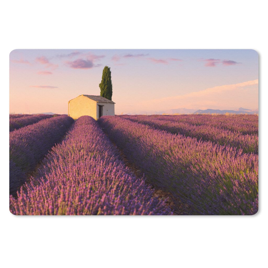MuchoWow Schreibtischunterlage Reihen von lila Lavendel 60x40 cm - XXL Mauspad - Großes Mauspad