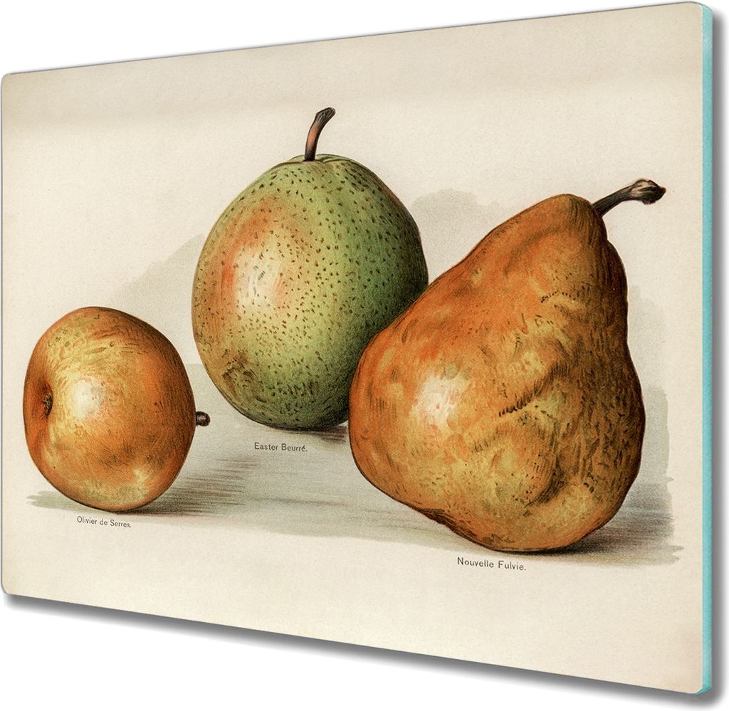 Coloray Hackbrett Kochplattenabdeckung Herdabdeckplatte 60x52 cm Schneidebrett Küchenbrett - Birnenfrucht