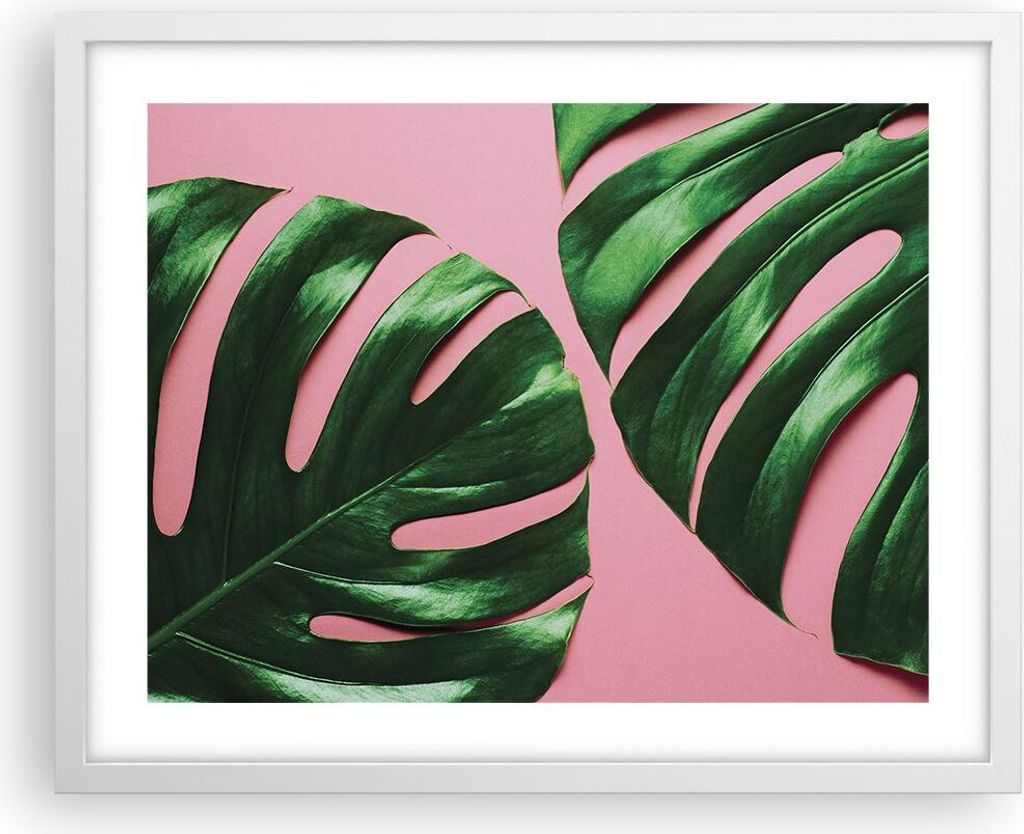 Gerahmtes Poster - Weißer Rahmen - Monstera Blatt Rosa - 50x40 cm - Wand Bild - Wanddeko - Wandbilder - Kunstposter - Wandposter - Bilderrahmen - ...