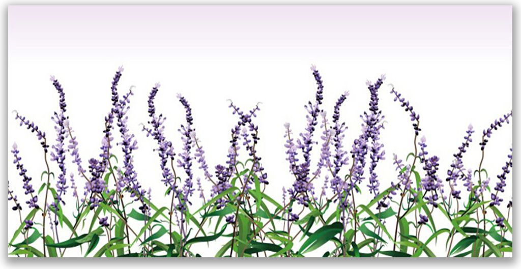 Glasbilder 120x60 Wandbild Druck auf Glas Blumen Pflanzen