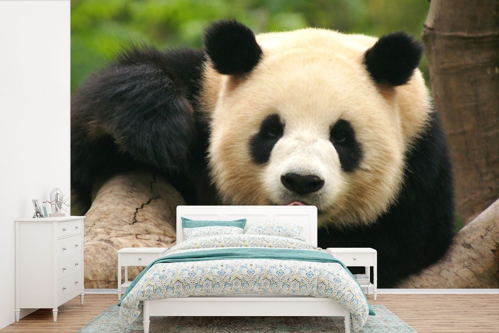 MuchoWow Fototapete für Wohnzimmer oder Schlafzimmer Wandtapete Vinyl Motivtapete Tiere - Panda - Bäume - 450x300 cm - Gemusterte