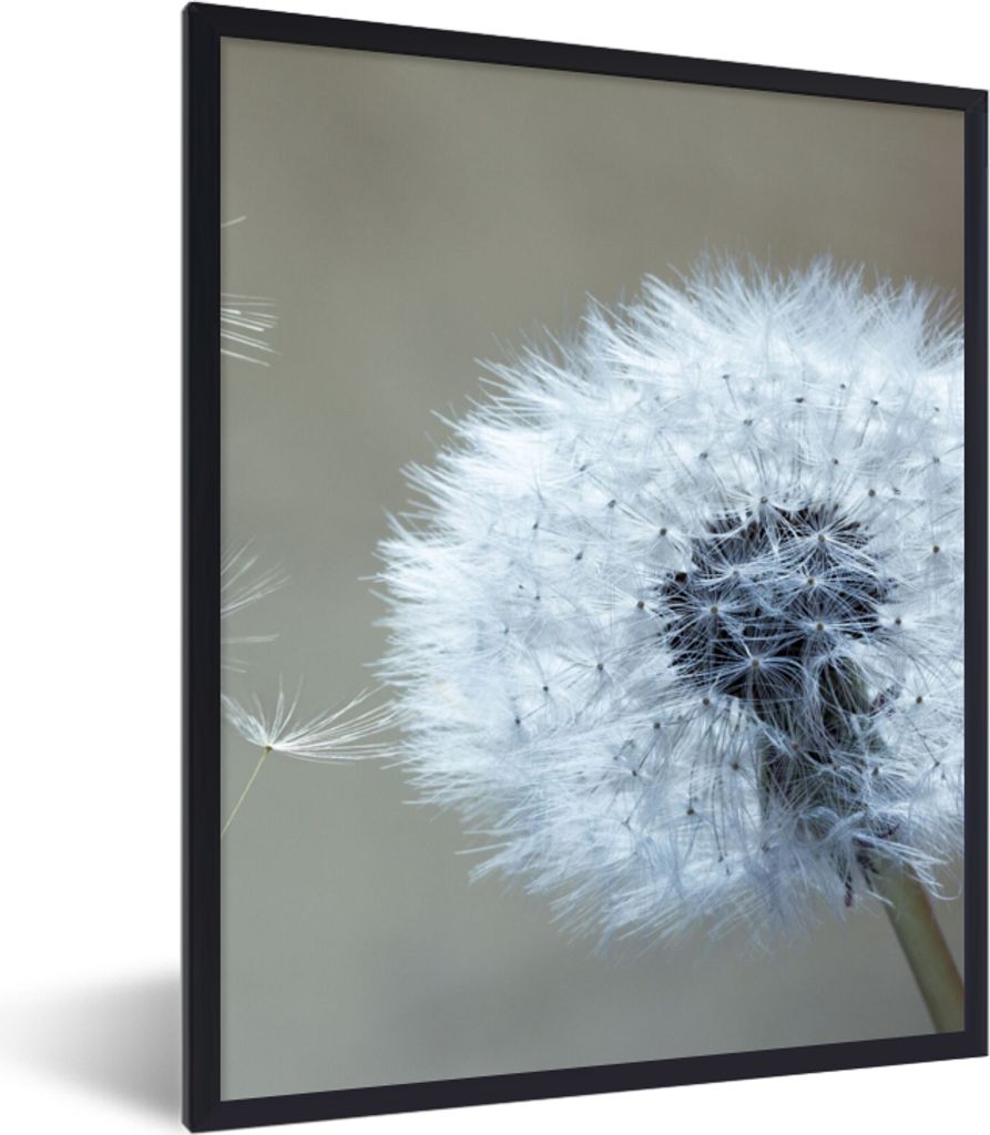 MuchoWow Gerahmtes Poster Löwenzahn - Blume - Pflanze 30x40 cm - Poster mit Schwarzem Bilderrahmen Wandposter Rahmen Foto Bilder - Wanddeko - Ku...