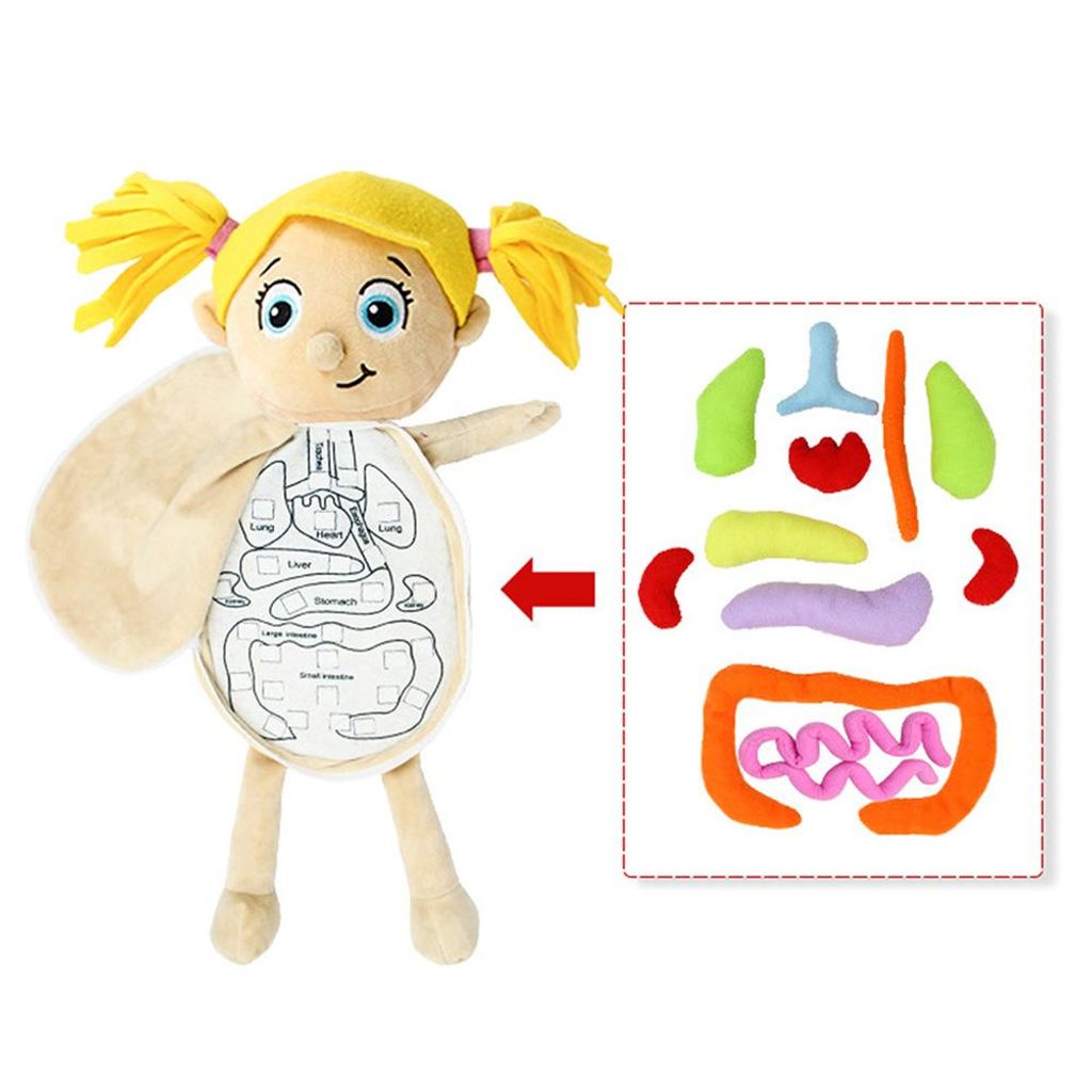 Modello Del Corpo Umano Per Bambini – Bambola Anatomica Di Peluche Con Organi Rimovibili, 48 Cm, Gioco Educativo