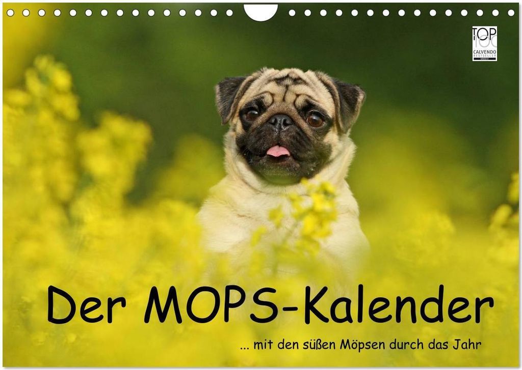 Der MOPS-Kalender (Wandkalender 2026 DIN A4 quer), CALVENDO Monatskalender