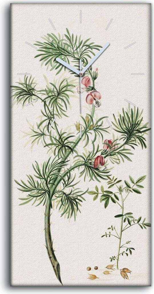 Wanduhr Uhr Wandbild Leinwand 30x60 Malerei Blumen Zweig Produktbild 