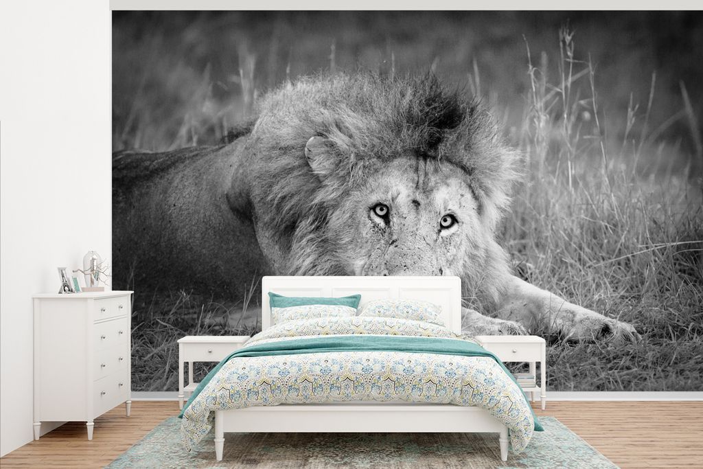 MuchoWow Fototapete für Wohnzimmer oder Schlafzimmer Wandtapete Vinyl Motivtapete Löwe - Schwarz - Tiere - 375x240 cm - Wand Tapete