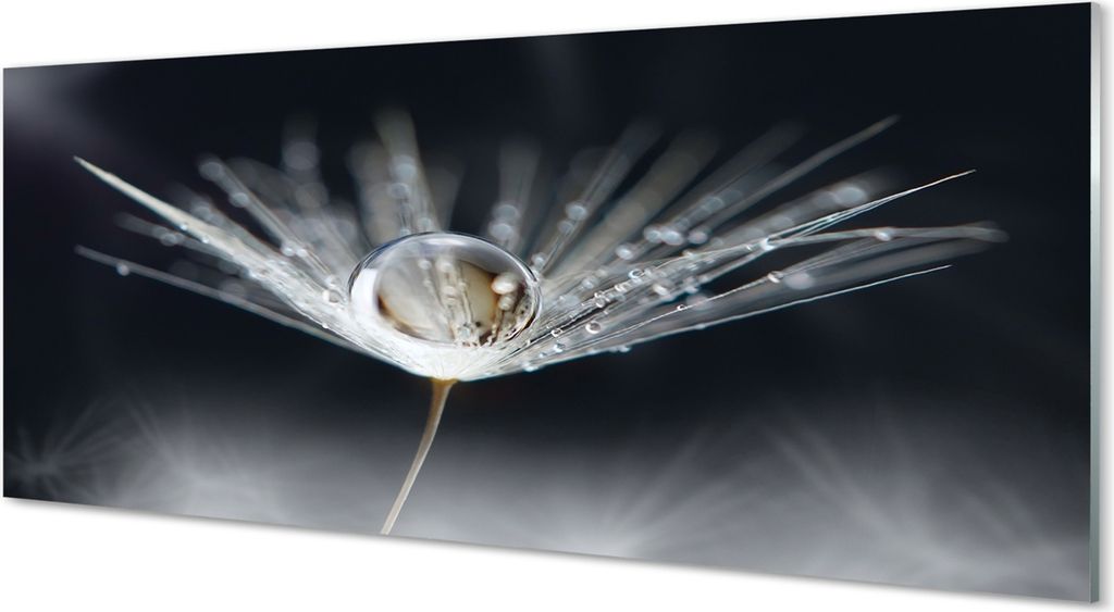 Glasbilder 125x50 Wandkunst Tropfen Löwenzahn-Makro
