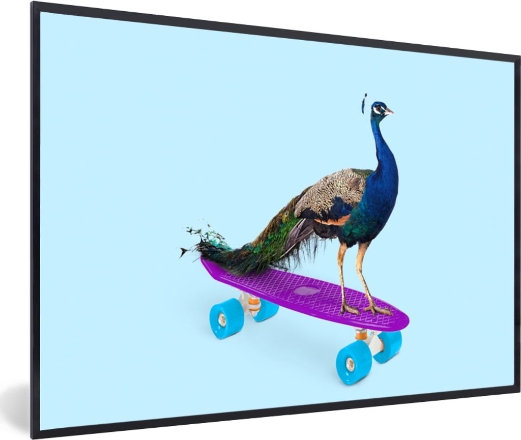 MuchoWow Gerahmtes Poster Pfau - Blau - Skateboard - Tiere - Lustig 30x20 cm - Poster mit Schwarzem Bilderrahmen Wandposter Rahmen Foto Bilder - ...