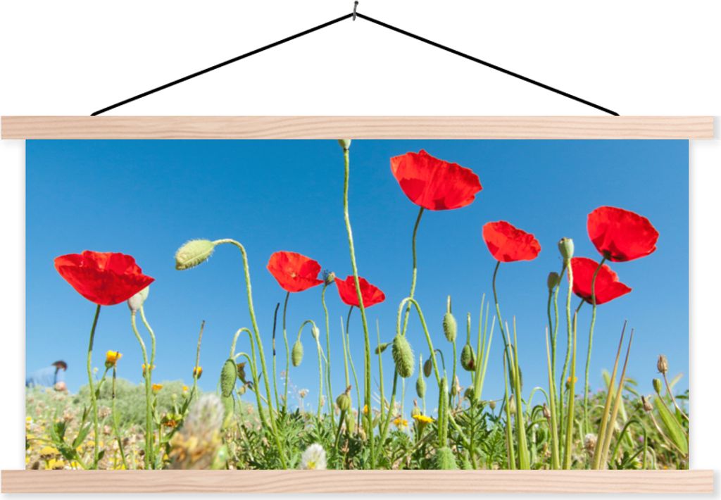 MuchoWow Textilposter Rote Mohnblumen unter einem strahlend blauen Himmel in der Türkei 120x60 cm mit holzfarbenen Rahmen - Klemmleiste