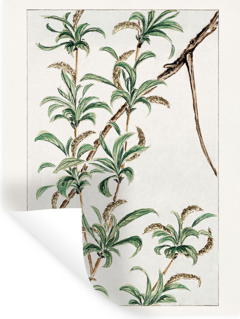 MuchoWow Wandtattoo Wandsticker Wandaufkleber Dschungel - Japanisch - Vintage 120x160 cm Selbstklebend und Repositionierbar - Wierderverwendbar -...