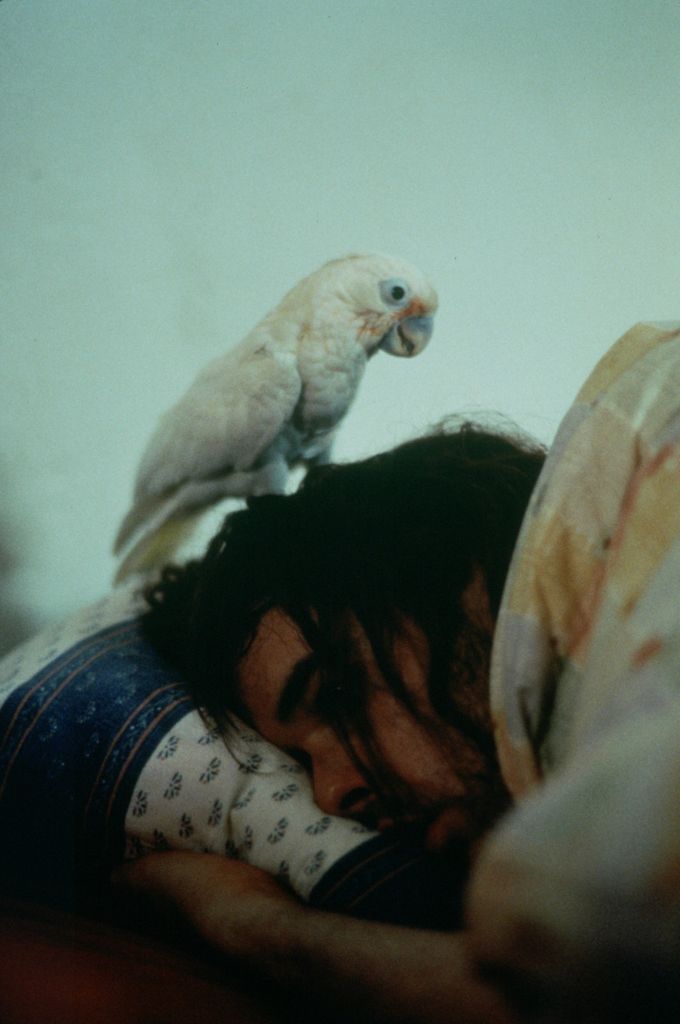 Being John Malkovich