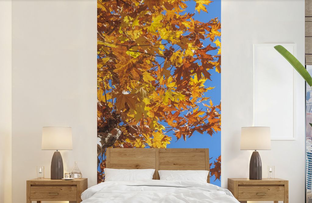 MuchoWow Fototapete für Wohnzimmer oder Schlafzimmer Wandtapete Vinyl Motivtapete Herbst - Bäume - Orange - 120x240 cm - Hintergrundbild