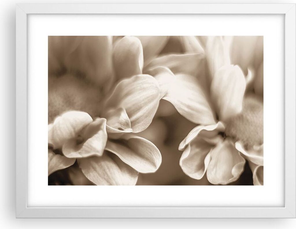 Gerahmtes Poster - Weißer Rahmen - Blumen Boho ohne - 40x30 cm - Wand Bild - Wanddeko - Wandbilder - Kunstposter - Wandposter - Bilderrahmen - Bil...