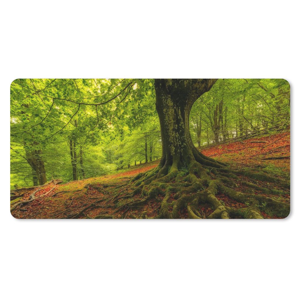 MuchoWow Mauspad Mousepad Baum - Wald - Herbstblätter 60x30 cm - Mousepads - Maus Mat - Pad - Mausunterlage - Nachhaltig