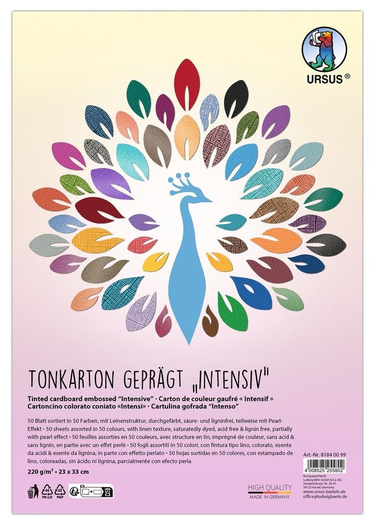 URSUS Tonkarton geprägt Intensiv 50 Blatt 220g/m² 23x33cm