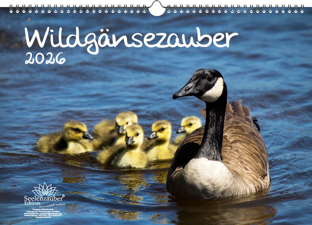 Wildgänsezauber DIN A3 Kalender für 2026 Wildgänse - Seelenzauber