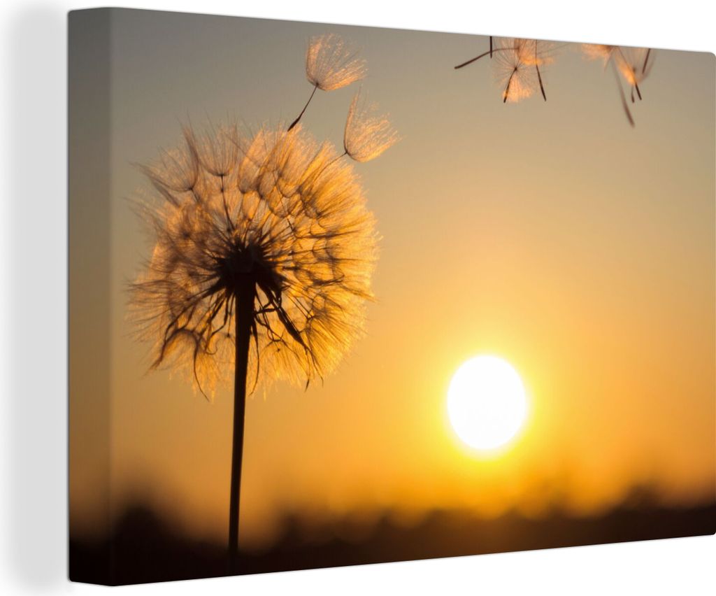 OneMillionCanvasses - Leinwandbilder - 140x90 cm, Löwenzahn - Sonne - Sonnenuntergang, Wandbilder Kunstdruck Wanddekoration - Foto auf Leinwand ...