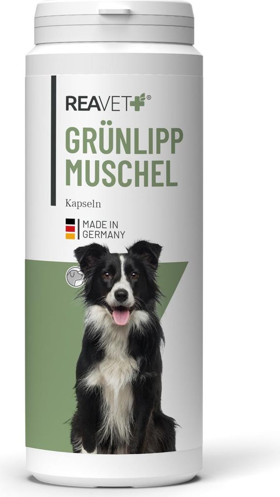 Grünlippmuschel Kapseln 300Stk Produktbild 